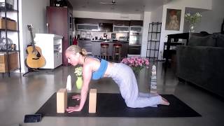 Yoga Pose 101 Quickie | Four-Limbed Staff (Chaturanga Dansdasana)