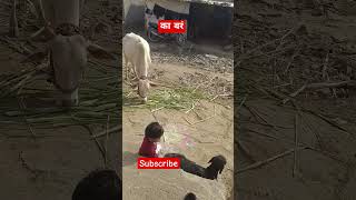 अरे बापरे क्या कर रहे हो तू #ytshorts #viral #shortvideo #love #goat