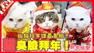 【孤貓工作室】貓臭臉拜年！孤貓拜年誰最臭臉？新年快樂！