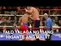 Talo Talaga Ng Higante Ang Maliit || Nikolai TKO Barrett || elimfro Virgo #trendingvideo #boxing