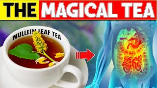 15 Amazing MULLEIN LEAF TEA Benefits the World MUST WATCH Now