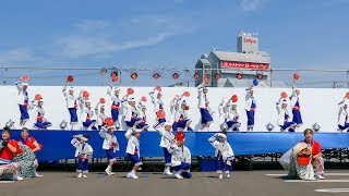 [4K]空山商店－ＨＡＺＵＫＩ－　銭形よさこい2017 ステージ会場（広角）