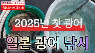 2025년 일본 동경쪽 으로 첫 겨울 광어 선상 낚시 나왔습니다.