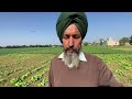 ਸੁੱਕੇ ਖੇਤ ‘ਚ ਬੀਜੀ ਸਰੋਂ ਦਾ ਜੰਮ ਹੈ ਇਹੋ ਜਿਹਾ farmer work new vlog