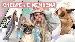 VLOG | Chewie je nemocná 🤒