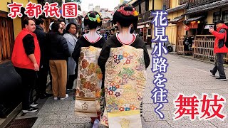 【4K】『舞妓,芸妓さんは人気者』京都祇園甲部に響き渡る舞妓さんの声 花見小路を往く芸舞妓 新年 おめでとうさんどす kyoto gion maiko geiko