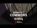 OpenShift Commons Briefing: New Marketplace and Catalog UX for OpenShift 4  Serena Nichols, Red Hat