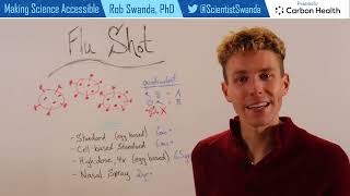How the Flu Shot Works