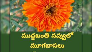 MUDDABANTHI NAVVULO MUGABASALU LYRICS | ముద్దబంతి నవ్వులో మూగ బాసలు