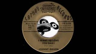 Johnny Gibson - I Want To Love You Baby [Cathay Records] 1965 Doo Wop Teen Rocker Oldies 45