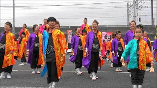 朝霞鳴子一族め組 ・おやちゃいむら収穫祭2023年11月12日。