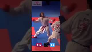 this point  Aka or Ao | karate kumite | Egypt 🇪🇬  VS turkey 🇹🇷
