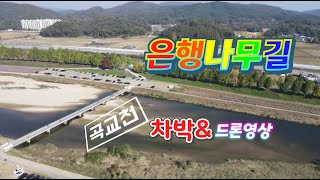 곡교천 은행나무길 캠핑카차박&드론