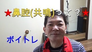 【ボイトレ】鼻腔(共鳴)について