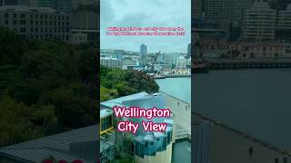 Wellington City view and Harbour view from the Te Papa National Museum Observation Deck