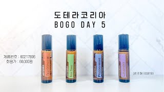 [🇰🇷보고] 도테라 코리아 보고 프로모션 DAY 5, 프랑킨센스 터치 + 라벤더, 페퍼민트 \u0026 티트리 터치 희석안하고 바로 쓸수 있어 최고죠! #아로마 #도테라천연오일