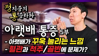 아랫배 통증 정복 마지막 5편, 아랫배가 이렇게 아프다고? 아랫배가 꾸욱 눌릴때