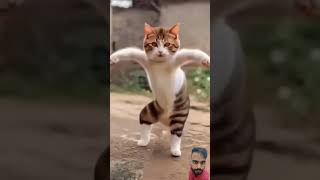 बिल्ली का डांस #cat #comedy #parrot #cute #funny #cartoon #shortvideo #shortfeed #video #viralvideo