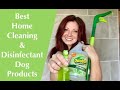 Best Pet House Cleaning All-purpose Disinfectant Dog Products & Supplies: Odoban + Nature's Miracles