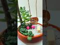 simple miniature fairy garden using 🪷 cactus|DIY|  #fairygardens #cactus #miniaturegarden#diy#ideas