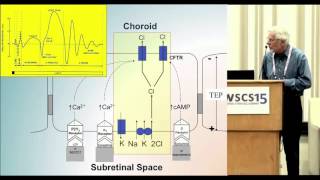 WSCS 2015: Restoring Vision - Discoveries and Clinical Trials