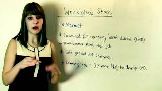 AS Psychology Revision: An Overview of Stress