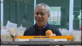 OPOAI 61 เผยแพร่ทาง ช่อง MONEY EASY TNN24 16 05 2561