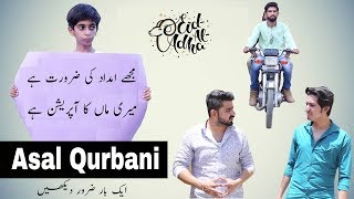 QURBANI | SHORT FILM | BAKRA EID SPECIAL | Bwp Production