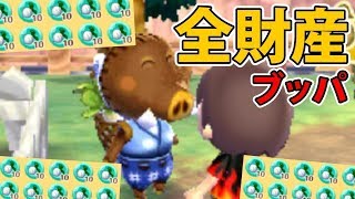 とびだせどうぶつの森 -ふたり村編- 1～20日目 【まとめ】