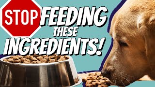 7 Pet Food Ingredients To Avoid