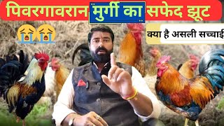 गावरान कोबंडीका सफेद झूट 😭क्या है सच्चाई 😭 Puargavran Kukutpalan |Gavran Poultry Farming #Kombadi