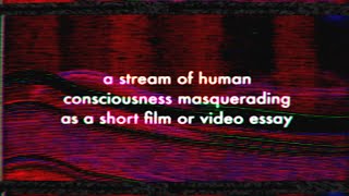 a stream of human consciousness masquerading as a short film or video essay