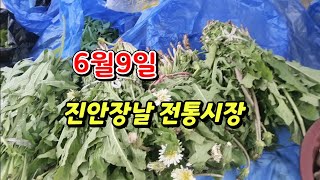 진안고원 장날 전통시장/하얀민들레/왕고들빼기/아욱/상추