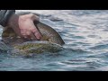 march midges winter dry fly fishing on the madison river