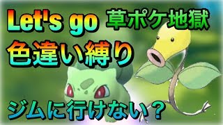 【Let’sGO!色違い】色違い縛りで殿堂入り目指す！Let’sGO!イーブイ　Pokémon