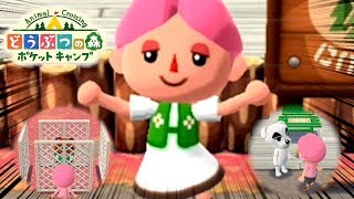 【ポケ森】キャンプ場に「とたけけ」と「たぬきち」を呼んでみた！【どうぶつの森 ポケットキャンプ】