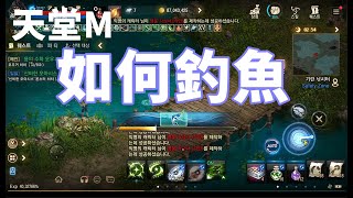 【 天堂M 】釣魚系統初體驗 教你如何釣魚買釣竿 !!可以掉到什麼魚呢 經驗值居然如此之多 我是天才小釣手