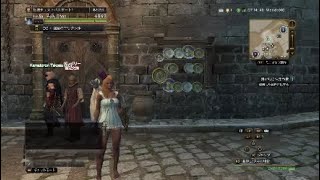 ［DDON] 極ジュエリー確定コイン購入してみた