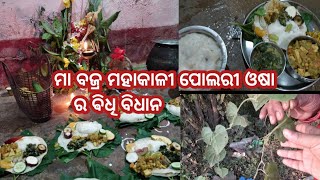 bpt vlog-1,asantu chinhiba 7 ti dala, kipari karibe polori amabasya step by step in odia