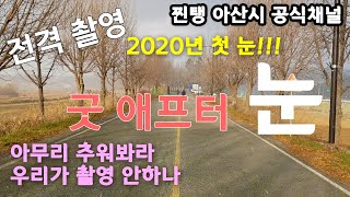 [우리동네 구석구석] 눈 오는 아산 은행나무길 (feat. 공무원) _ 전격촬영 2020년 첫 눈