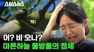 ※더러움 주의※ 한여름 나무 밑에 서있으면 안 되는 이유/ 스브스뉴스