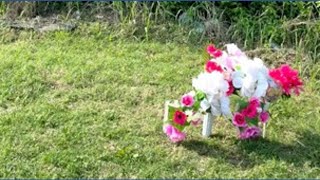 Missing Breese, Illinois, woman found dead in East St. Louis