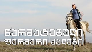 ფერმა - სოფლის მაშენებელი თამარ ღლონტი და წარმატებული ფერმერი ქალები