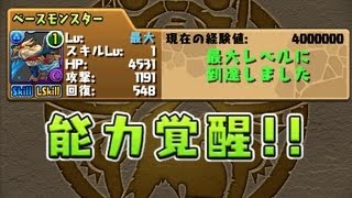 パズドラ　覚醒スキル　能力覚醒システム