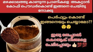 കോഫി പൌഡർ കൊണ്ട് ഈ സൂത്രം ചെയ്തിട്ടുണ്ടോ?? കിടിലെൻ result 💯#dariyaskitchen #kitchenhacksandtricks