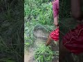 fisherman in cambodia 🇰🇭 farming fish fishing nature tonlesap