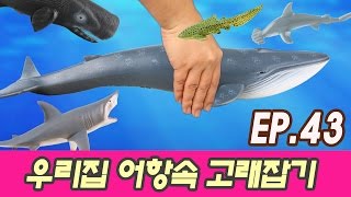 한국어ㅣ우리집 어항속 고래와 상어잡기, 43화 어린이 만화 영상, 한글공부, 고래 이름 외우기ㅣ꼬꼬스토이