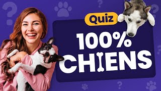 QUIZ 100% Chiens 🐕 : 30 Questions canines