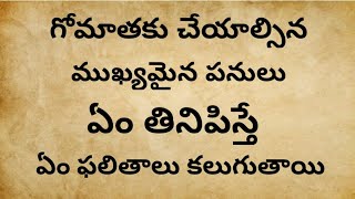 గోమాతకు ఎటువంటి ఆహారాన్ని తినిపిస్తే ఎటువంటి ఫలితాలు ఉంటాయి!..#తాళపత్రనిధి@sukshithachannel