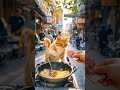 cat u0026 friedrice 🍛 catmusic catlovers